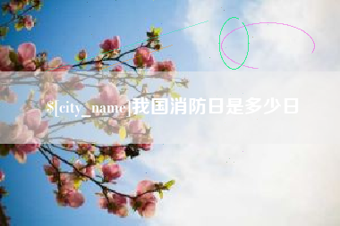 安宁我国消防日是多少日