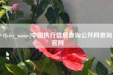 安宁中国执行信息查询公开网查询官网