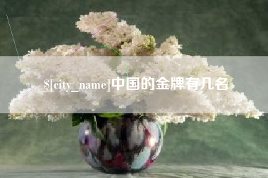 安宁中国的金牌有几名