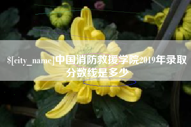 安宁中国消防救援学院2019年录取分数线是多少