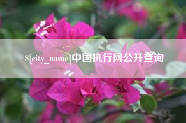 安宁中国执行网公开查询