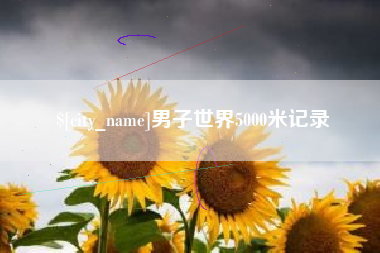 安宁男子世界5000米记录