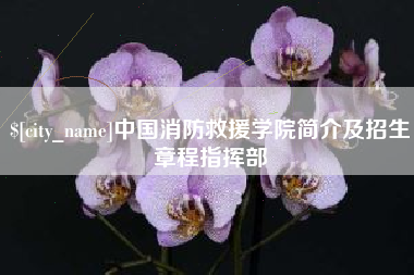 安宁中国消防救援学院简介及招生章程指挥部