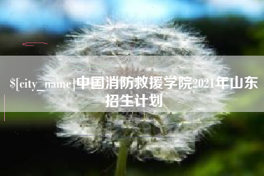 安宁中国消防救援学院2021年山东招生计划