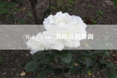 安宁消防证的查询