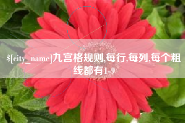 安宁九宫格规则,每行,每列,每个粗线都有1-9