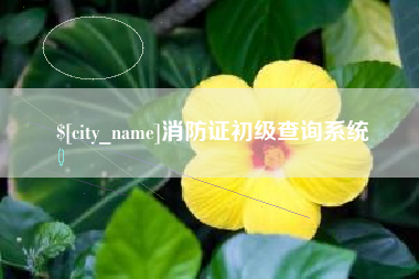 安宁消防证初级查询系统