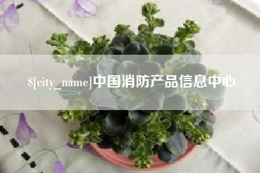 安宁中国消防产品信息中心