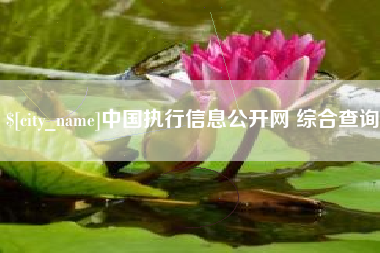 安宁中国执行信息公开网 综合查询
