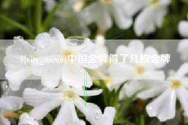 安宁中国金牌得了几枚金牌