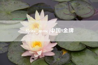 安宁中国9金牌