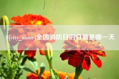 安宁全国消防日的日期是哪一天