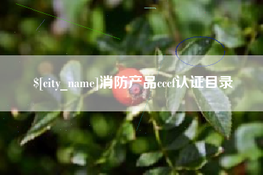 安宁消防产品cccf认证目录