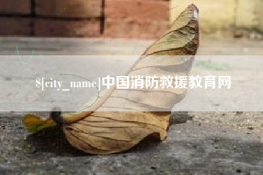安宁中国消防救援教育网