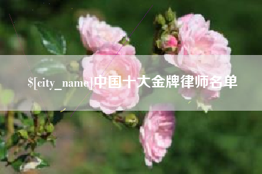 安宁中国十大金牌律师名单