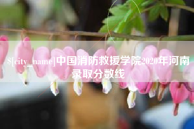 安宁中国消防救援学院2020年河南录取分数线