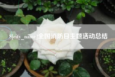 安宁全国消防日主题活动总结