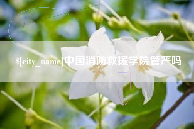 安宁中国消防救援学院管严吗