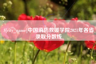 安宁中国消防救援学院2021年各省录取分数线