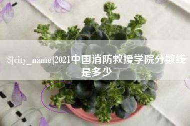 安宁2021中国消防救援学院分数线是多少
