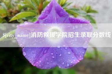 安宁消防救援学院招生录取分数线