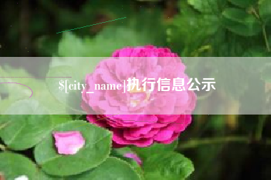 安宁执行信息公示