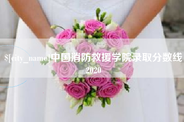安宁中国消防救援学院录取分数线2020