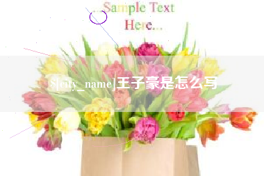 安宁王子豪是怎么写