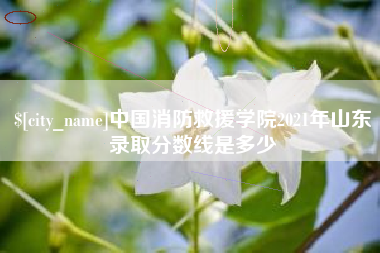 安宁中国消防救援学院2021年山东录取分数线是多少