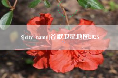 安宁谷歌卫星地图2025