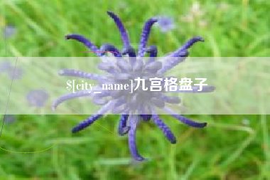 安宁九宫格盘子