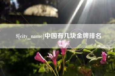 安宁中国有几块金牌排名