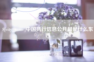 安宁中国执行信息公开网是什么东西