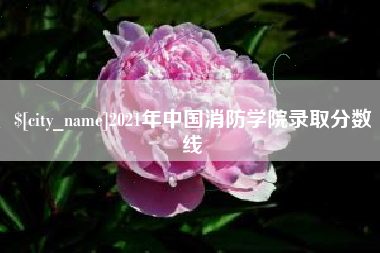 安宁2021年中国消防学院录取分数线