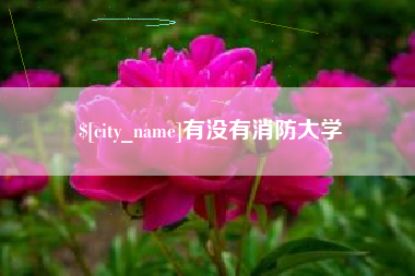 安宁有没有消防大学