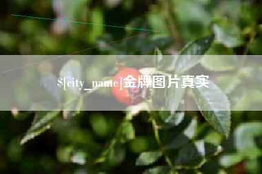 安宁金牌图片真实
