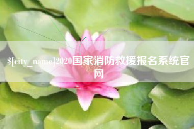 安宁2020国家消防救援报名系统官网