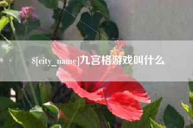 安宁九宫格游戏叫什么