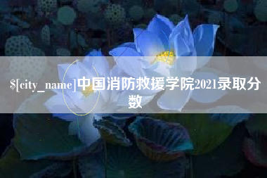 安宁中国消防救援学院2021录取分数