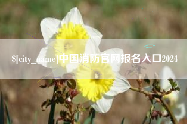 安宁中国消防官网报名入口2024