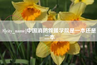 安宁中国消防救援学院是一本还是二本