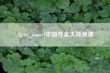 安宁中国夺金大项是谁