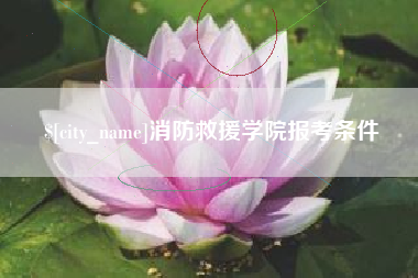 安宁消防救援学院报考条件
