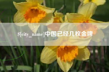 安宁中国已经几枚金牌