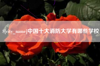 安宁中国十大消防大学有哪些学校