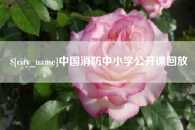 安宁中国消防中小学公开课回放