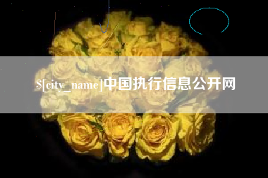 安宁中国执行信息公开网
