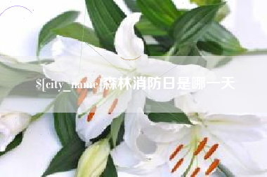安宁森林消防日是哪一天