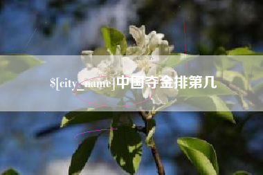 安宁中国夺金排第几