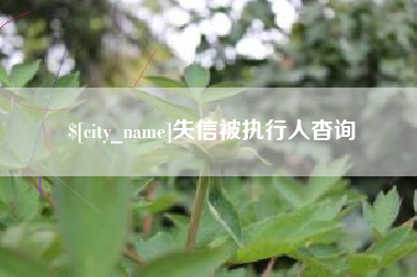 安宁失信被执行人杳询